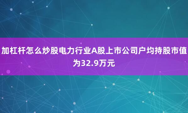 加杠杆怎么炒股电力行业A股上市公司户均持股市值为32.9万元