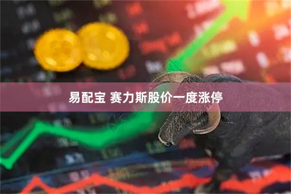 易配宝 赛力斯股价一度涨停