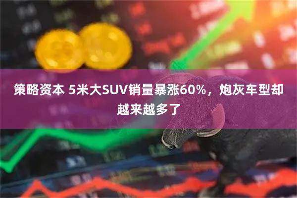 策略资本 5米大SUV销量暴涨60%，炮灰车型却越来越多了