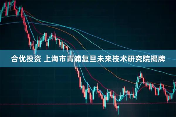 合优投资 上海市青浦复旦未来技术研究院揭牌